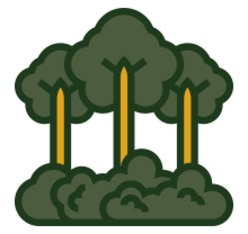 trees